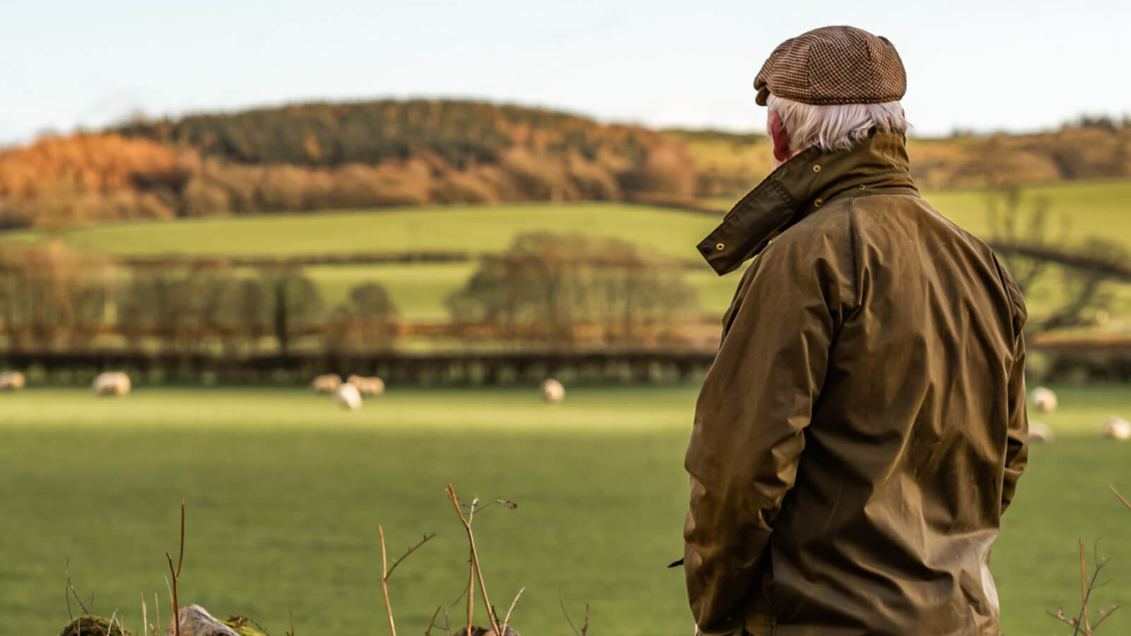 Five fold increase in people seeking information about pension scams